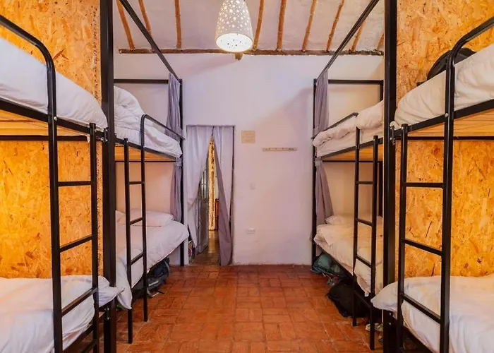 Botanico Hostel