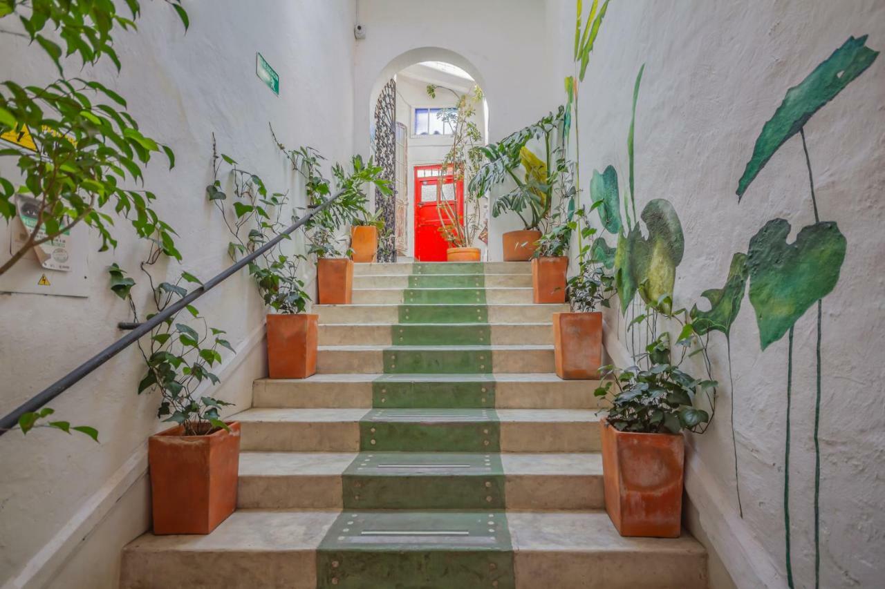 Hostal Botanico